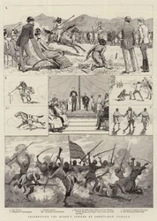 Celebrating the Queen